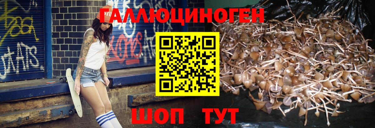 Галлюциногенные грибы прущие грибы  Псилоцибиновые грибы Psilocybe  Вход с VPN  Биробиджан 