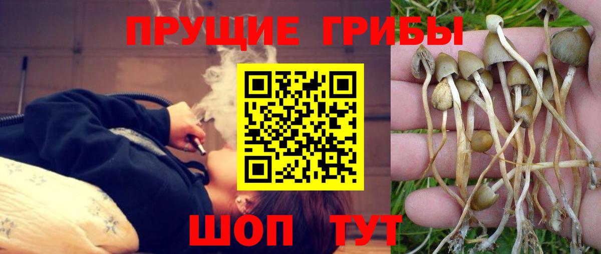 Галлюциногенные грибы MAGIC MUSHROOMS Биробиджан